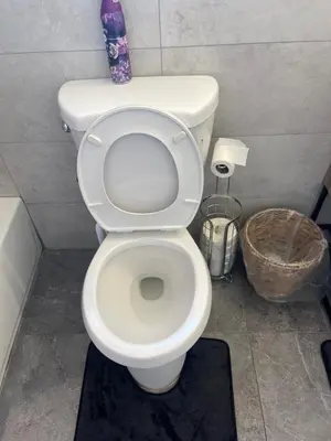a bathroom with a white toilet in a room at Peace Sterling Haven in Newark