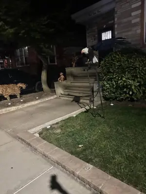 a person sitting on a park bench in the grass at 3 Large Bedrooms Luxe Artistic Art Vibe in Newark