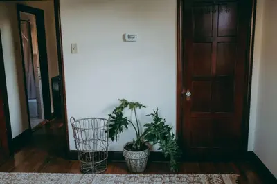 a hallway with two potted plants next to a door at Conestoga Cottage with Hot Tub in Conestoga
