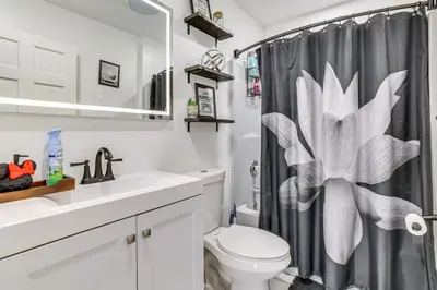 a bathroom with a toilet and a shower curtain at 7 Mi to Slopes Family Getaway in Stroudsburg in Stroudsburg