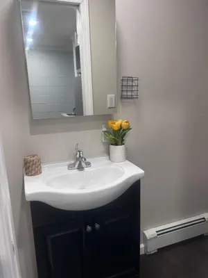 a bathroom sink with a mirror and a vase of flowers at So cute so cozy in Elizabeth