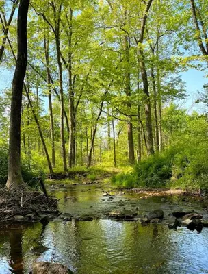 a stream of water with trees in the background at Historic Canal Home on Nature Preserve in Princeton