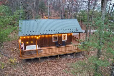 a cabin in the woods with lights on it at Mountain Bliss Cottage