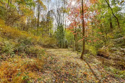 a path in the woods with leaves on the ground at Serene Getaway with Trail Access in Chester Springs in Chester Springs