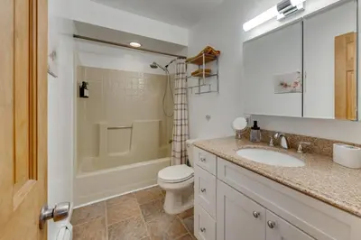 a bathroom with a toilet and a sink and a shower at Game Room, Hot Tub and Fire Pit Pocono Lake Escape! in Pocono Lake