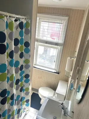 a bathroom with a toilet and a shower curtain at Professional & Student-Friendly in Upper Darby