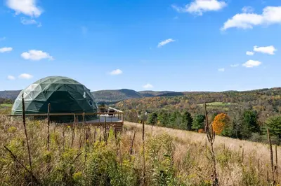 a dome tent on top of a grassy field at 'The Bear Dome' with Barrel Hot Tub in Franklin in Franklin