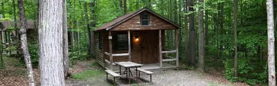 a small wooden cabin in the middle of the forest at Jellystone Park PA Wilds in Mansfield