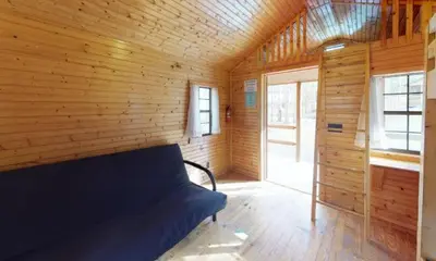 a room with a blue couch in a wooden wall at Jellystone Park PA Wilds in Mansfield