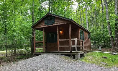 a wooden cabin in the middle of a forest at Jellystone Park PA Wilds in Mansfield