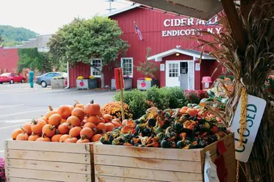 a display of pumpkins in boxes in front of a building at Soothing, Comfy P-Room by Wilson Memorial in Johnson City