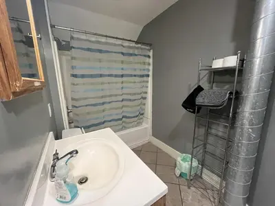 a bathroom with a sink and a shower at Inviting, Calming PR -Lourdes Hospital Binghamton in Johnson City