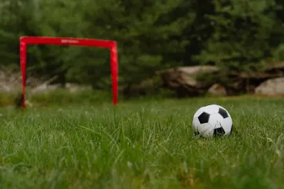 a soccer ball in the grass next to a goal at Waterfront 1900s Hot Tub Eldred Homestead in Eldred