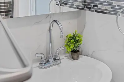 a bathroom sink with a faucet and a plant on it at 3BR Home 2 Baths Bonus Room, Minutes to NYC in Hackensack