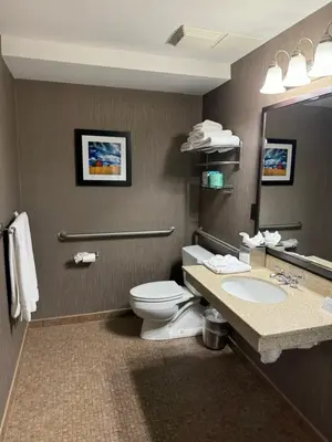 a bathroom with a toilet and a sink and a mirror at Normandy Farm Hotel & Conference Center in Blue Bell