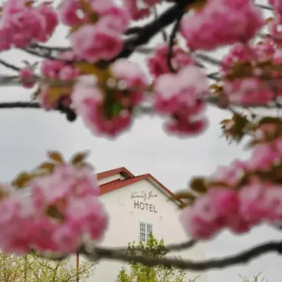 Normandy Farm Hotel & Conference Center