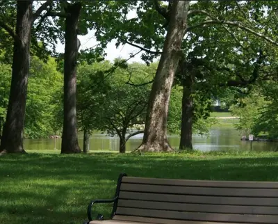 a park bench in front of a river with trees at 3 Loft Bedrooms Gazebo Patio Lounge in Roselle