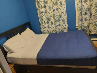 a bed in a bedroom with blue walls and curtains at Grove#5 in Irvington