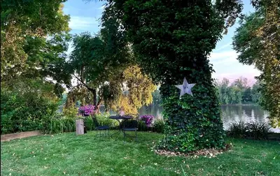 a tree with a star on the side of it at Charming Historic Riverfront Home with Garden Views near Lambertville, New Jersey in Titusville