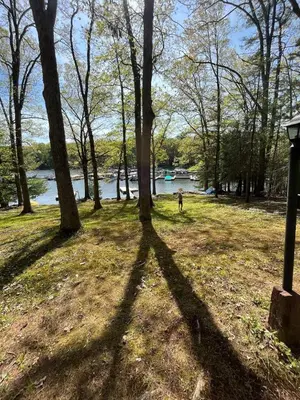 a dog is standing in a park with its long shadow at Lakefront Paradise near everything! in Hawley