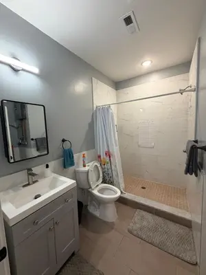a bathroom with a toilet and a shower and a sink at Beautiful & Peaceful 1-Bedroom Suite in Philadelphia