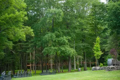 a row of trees with chairs in a park at Historic Winery Farmhouse by Lake in Hawley