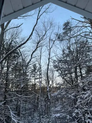 a view of a snow covered forest with trees at Woodside Cabin in Delaware Water Gap in Dingmans Ferry