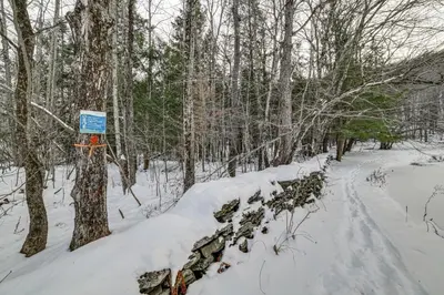 a snow covered path in a forest with a blue sign at Family Cabin Near Bellayre and Plattekill Mtns! in Andes