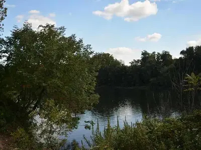 a view of a river with trees and water at Landing Beautiful 2BD Pool Clubhouse in King of Prussia