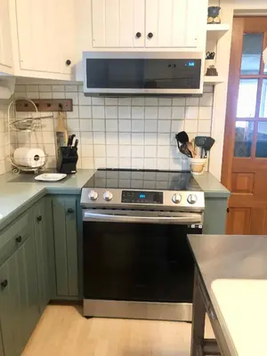 a kitchen with a stove and a microwave at Holly Cottage Quaker Lake in Brackney