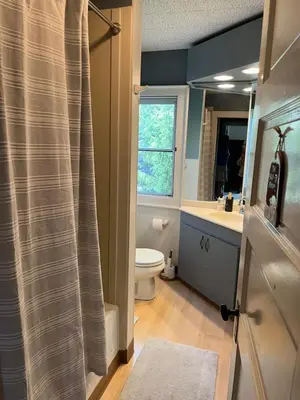 a bathroom with a toilet and a sink and a mirror at Holly Cottage Quaker Lake in Brackney