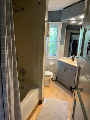 a bathroom with a tub and a toilet and a sink at Holly Cottage Quaker Lake in Brackney