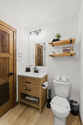 a bathroom with a toilet and a sink and a mirror at Hot Tub Sauna Spacious Backyard Luxury in Jim Thorpe