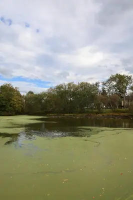 a large body of water with trees in the background at Bucks County Home Farm Philadelphia Dog Friendly in Warminster