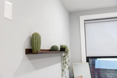 a room with a cactus on a shelf on the wall at 20 Minutes to Times Square, Stylish 2 Bedroom Apartment in West New York