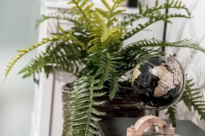 a mirror sitting on a table next to a plant at Discover NYC in stylish Studio-25 mins to NYC in West New York