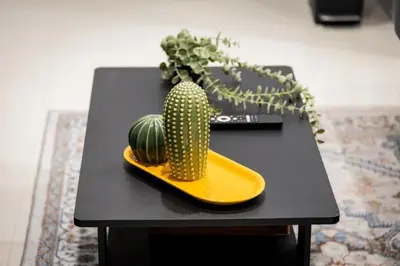 a black table with a cactus on a yellow tray at City Adventure-Quick NYC Access-2BR-Free Parking in West New York