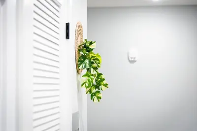 a plant hanging from the side of a door at Bright Apartment with Free Parking Near NYC in West New York
