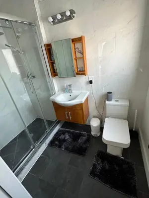 a bathroom with a shower and a toilet and a sink at Private Suite Hudson River View in Union City