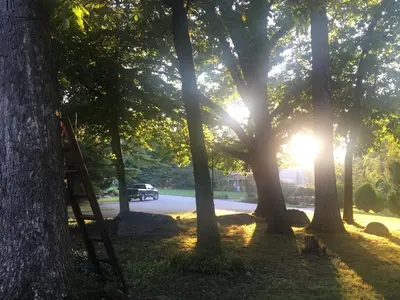 a view of a park with the sun shining through trees at Lux Home 5 min to Train and Airport