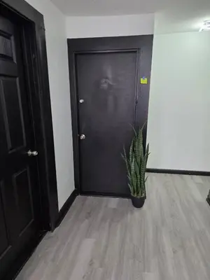 a plant sitting in front of a black door at FNR Suites, Washington Ave, Endicott, NY in Endicott