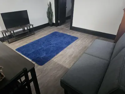 a living room with a couch and a blue rug at FNR Suites, Washington Ave, Endicott, NY in Endicott