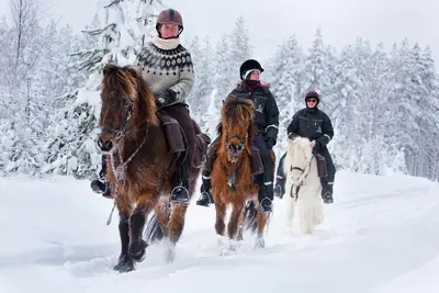 a group of people riding horses in the snow at Private 10 guest Getaway Fire-Pit Golf Hike Ski Spa in Vernon