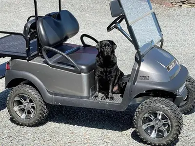 a black dog is sitting in a utility vehicle at Private Luxury Log Cabin in the Endless Mountains, Firepit, Farm Charm in Kingsley
