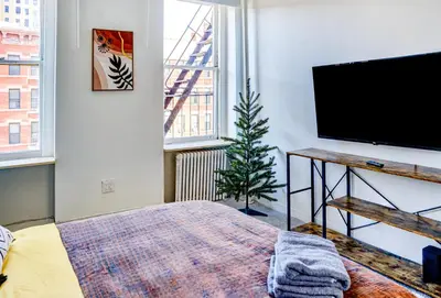 a living room with a flat screen tv and a christmas tree at 4 BD Family Unit in Central Location in New York