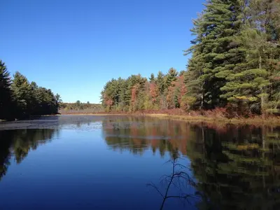 a view of a lake with trees in the background at Apple Orchard & Forest Retreat with Woodland Pond in Forestburgh