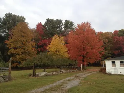 a dirt road leading to a house with colorful trees at Apple Orchard & Forest Retreat with Woodland Pond in Forestburgh