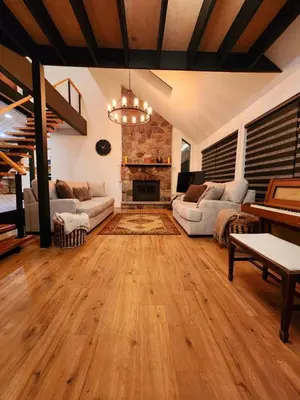 a living room with a couch and a fireplace at Pocono Ski Home Fire Pit Game Room EV in Tobyhanna