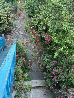 a pathway with pink flowers next to a blue bench at 2 Bedroom Garden Apartment Near Journal Square - Prime World Cup Lodging in Jersey City