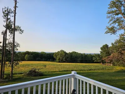 a dog sitting on a porch looking at a field at Fernwood Vista in Strasburg